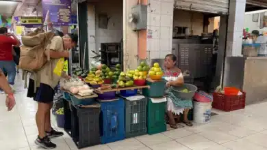 mercados de mérida, último destino del verano para conocer los sabores de yucatán