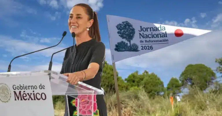 méxico planta 6.6 millones de árboles en un día