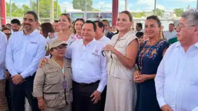 nueva estrategia conjunta en batalla contra el dengue