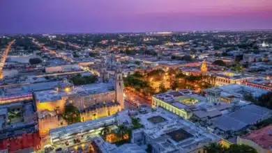 plantean mecanismo de emergencia para atender fachadas en riesgo del centro histórico