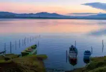 presa el tejocotal un destino de bosque, lanchas y truchas para disfrutar hidalgo