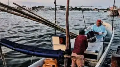 pulpo pone a prueba a yucatán el arranque de 2026 rinde hasta 40% menos que hace un año