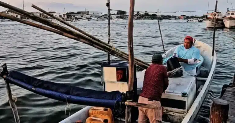 pulpo pone a prueba a yucatán el arranque de 2026 rinde hasta 40% menos que hace un año