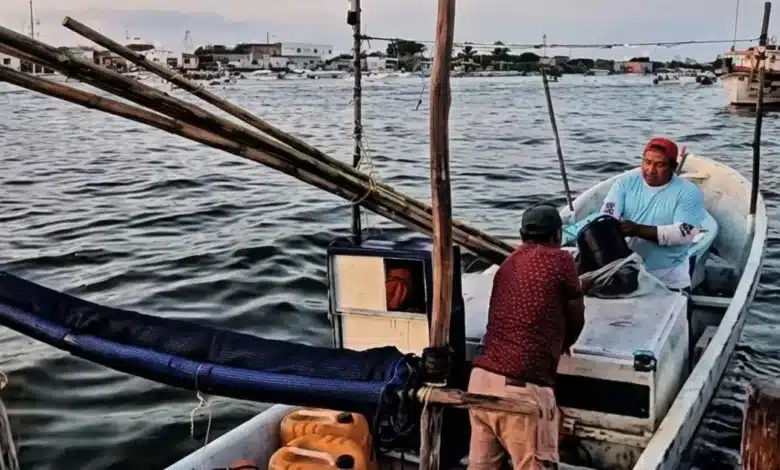 pulpo pone a prueba a yucatán el arranque de 2026 rinde hasta 40% menos que hace un año