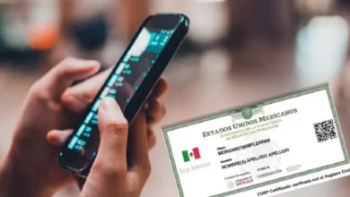 Registro de CURP con líneas celulares tendría nuevos cambios Gobierno de México