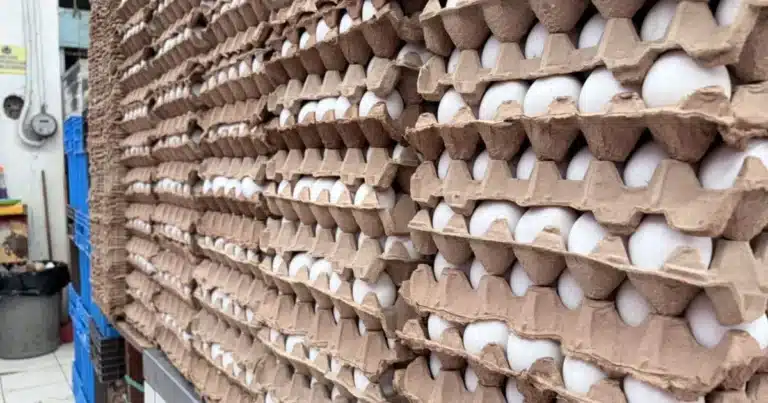 se encarece el huevo en yucatán
