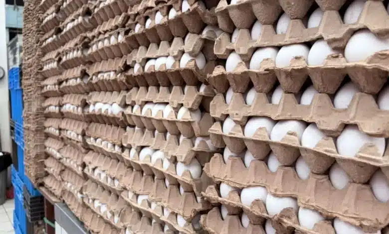 se encarece el huevo en yucatán