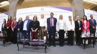secretaría de las mujeres inicia diálogo nacional para actualizar la alerta de violencia de género