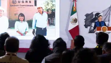sonora reabre frontera con estados unidos para exportación de ganado sheinbaum
