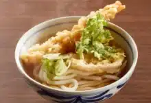 udon qué es, cómo se prepara y cuáles son sus variedades más populares