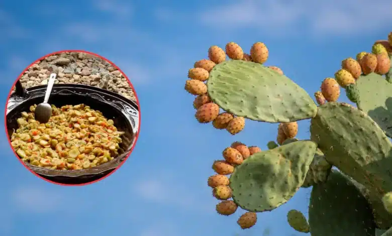 viejitas de guanajuato el platillo tradicional de pénjamo que transforma tunas secas en un guisado