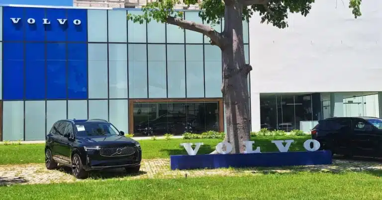 yucatán acelera la compra de autos y apunta a superar las 35 mil unidades