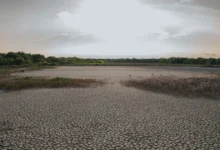 yucatán comienza a resentir la falta de lluvia 13.5% de su territorio está anormalmente seco