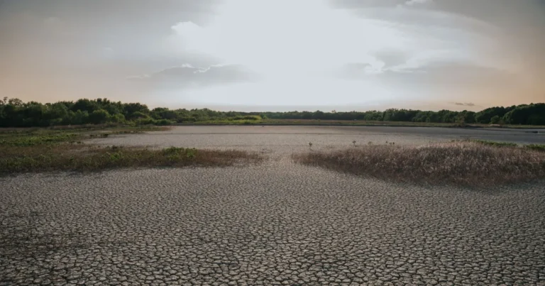 yucatán comienza a resentir la falta de lluvia 13.5% de su territorio está anormalmente seco