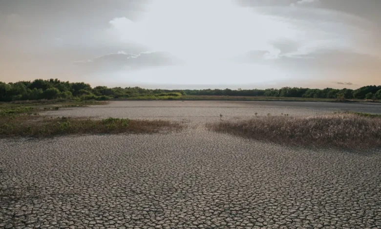 yucatán comienza a resentir la falta de lluvia 13.5% de su territorio está anormalmente seco