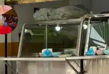 Yucatán registra aumento de 150% en casos de fiebre tifoidea llaman a evitar comida callejera