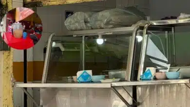 Yucatán registra aumento de 150% en casos de fiebre tifoidea llaman a evitar comida callejera