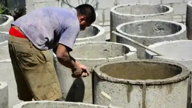yucatán se coloca a la cabeza del empleo formal en el sureste