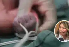 bodoquito ya está con su familia tras intervención del dif yucatán