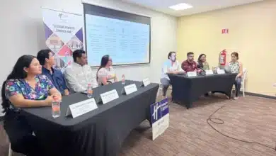 campaña misión patitas esterilizará a mil perros y gatos en yucatán
