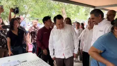 centro estatal de bienestar animal ofrecerá esterilizaciones y vacunas gratuitas en yucatán