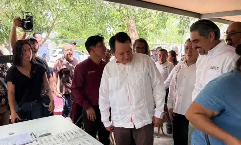 centro estatal de bienestar animal ofrecerá esterilizaciones y vacunas gratuitas en yucatán
