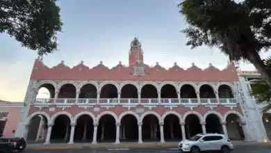 conoce qué servicios municipales trabajarán el 16 de septiembre en mérida
