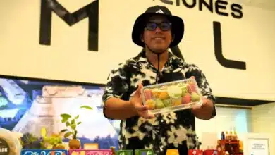 cuatro de cada diez emprendedores en yucatán son menores de 30 años