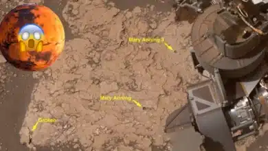 Descubren en Marte barro agrietado que revela ciclos antiguos de humedad y sequía (Foto Nasa)