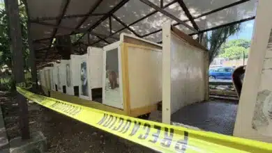 El Centenario refuerza más de 20 espacios tras ingreso de perros ferales