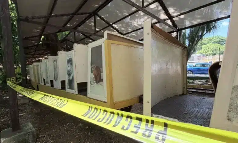 El Centenario refuerza más de 20 espacios tras ingreso de perros ferales