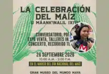 el gran museo del mundo maya celebrará el día nacional del maíz