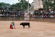 Un nuevo amparo fue promovido (Foto de internet)