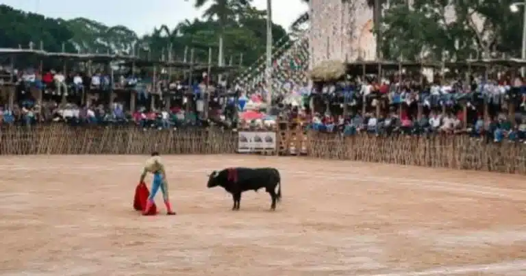 Un nuevo amparo fue promovido (Foto de internet)