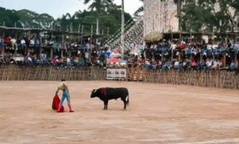 Un nuevo amparo fue promovido (Foto de internet)