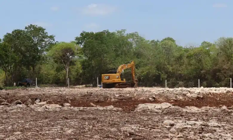 En riesgo reserva Cuxtal por contaminación, piden apoyo estatal y federal (Foto de cortesía)