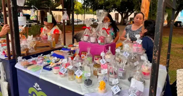 Mérida coloca 19.8 millones en créditos para emprendedores (Foto de cortesía)