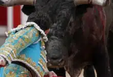 Adiós a corridas de toros en Sotuta, Ucú y Cansahcab, provisionalmente (Foto de internet)