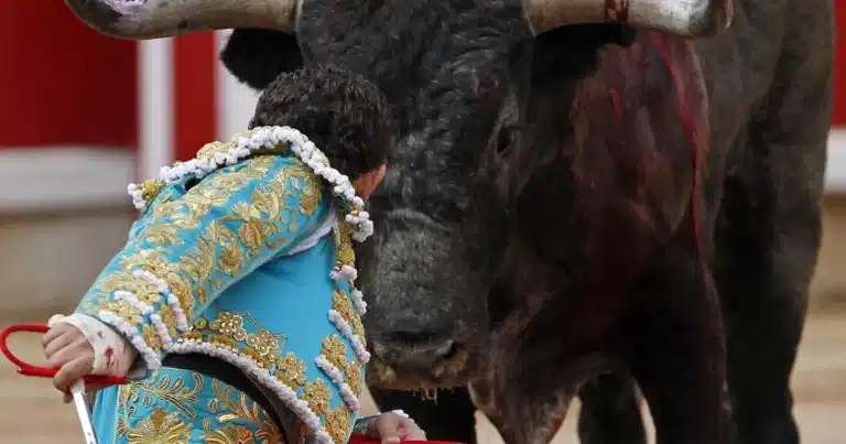 Adiós a corridas de toros en Sotuta, Ucú y Cansahcab, provisionalmente (Foto de internet)