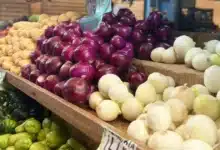 Precio de la cebolla sube en Mérida (Foto de Iridiany Martin)