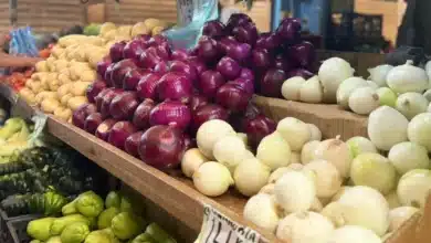 Precio de la cebolla sube en Mérida (Foto de Iridiany Martin)
