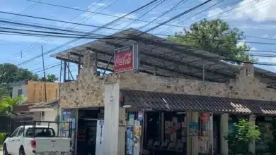 Ven en paneles solares la apuesta ante reto energético (Foto de cortesía)