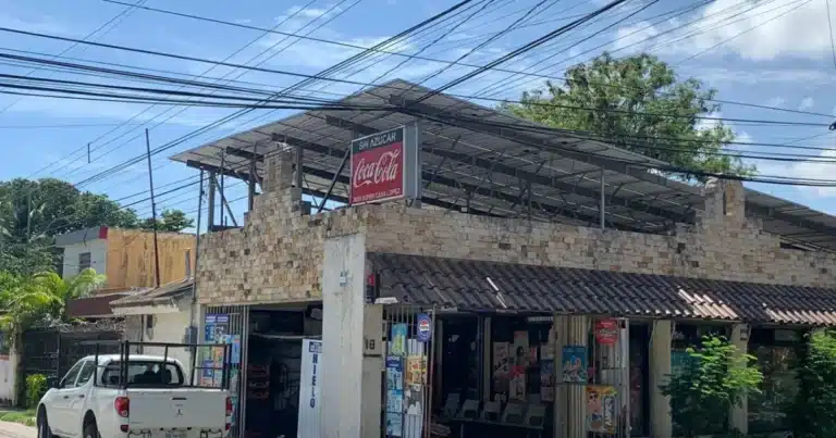 Ven en paneles solares la apuesta ante reto energético (Foto de cortesía)