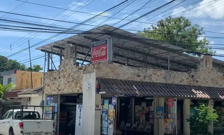 Ven en paneles solares la apuesta ante reto energético (Foto de cortesía)