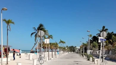 Erik Rihani invita a disfrutar del tradicional rol en el malecón de Progreso