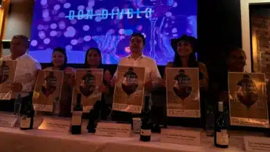 festival de la vid y la ceiba 2026 llevará 15 bodegas de vino mexicano a valladolid