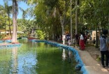Lago artificial del zoológico libre de “ameba come cerebros”