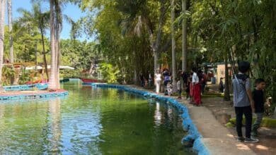 Lago artificial del zoológico libre de “ameba come cerebros”