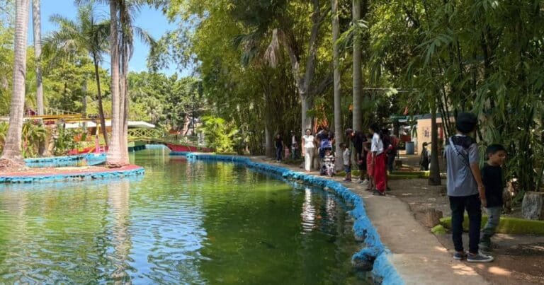 Lago artificial del zoológico libre de “ameba come cerebros”