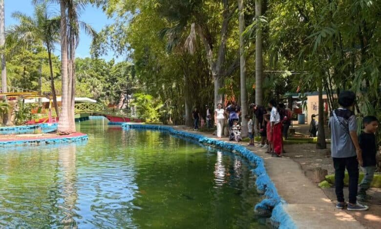 Lago artificial del zoológico libre de “ameba come cerebros”